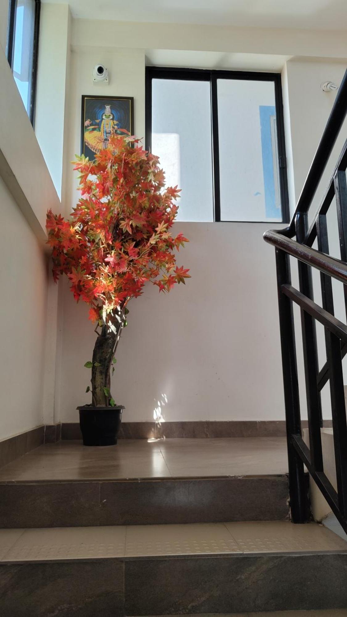 Masterkey Deluxe Rooms Kochi Esterno foto